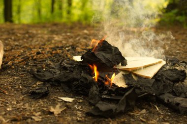 Yanan orman, eski bir kitabında yanma gelen yangın bırakır.