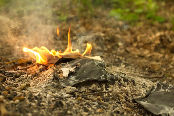 Ilden fra afbrænding af en gammel bog i skoven, brændende blade . - Stock-foto