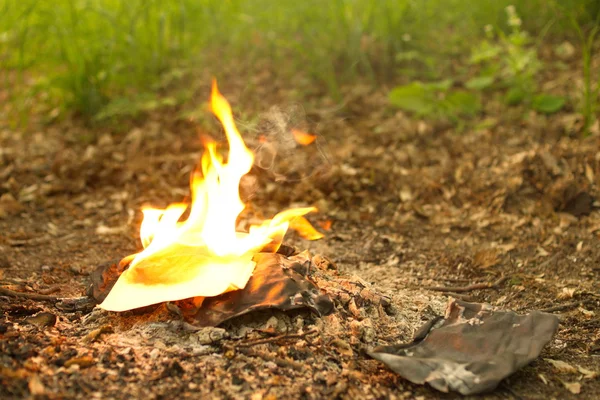 Le feu de la combustion d'un vieux livre dans la forêt, brûlant des feuilles . — Photo