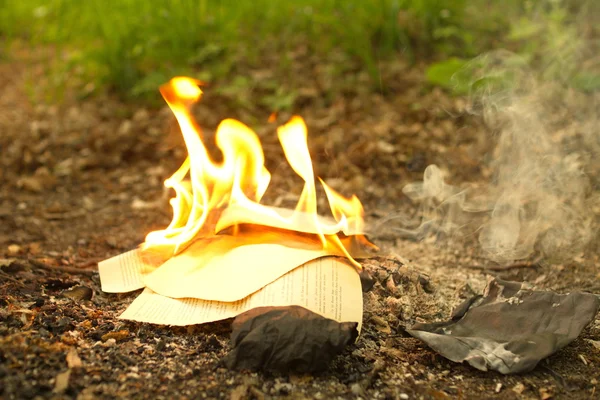 The fire from the burning of an old book in the forest, burning leaves.