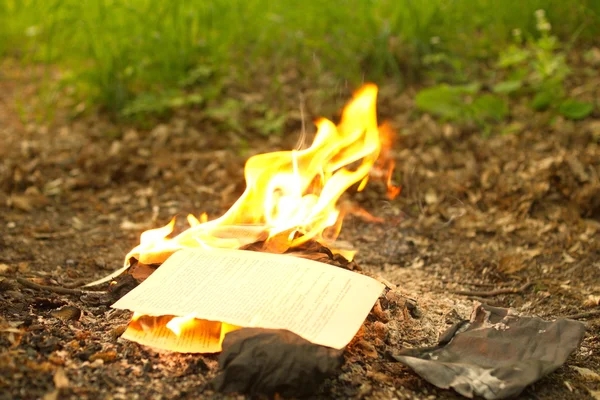 The fire from the burning of an old book in the forest, burning leaves. — Stock Photo, Image