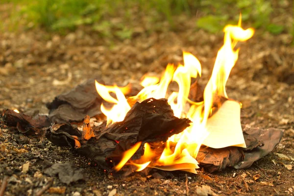 Destruktion af fortrolige dokumenter eller ej. - Stock-foto