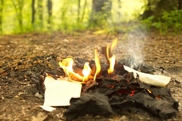 जंगल में एक पुरानी किताब के जलने से आग, पत्तियां जला रही हैं . — स्टॉक फ़ोटो, इमेज