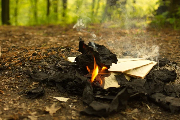 The fire from the burning of an old book in the forest, burning leaves. — Stock Photo, Image