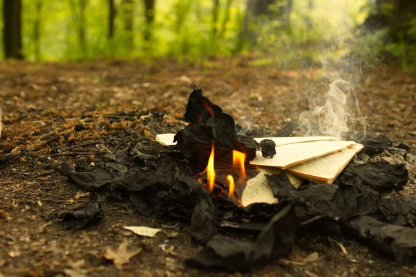 Yanan orman, eski bir kitabında yanma gelen yangın bırakır. — Stok fotoğraf