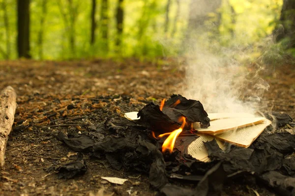 Ilden fra afbrænding af en gammel bog i skoven, brændende blade . - Stock-foto