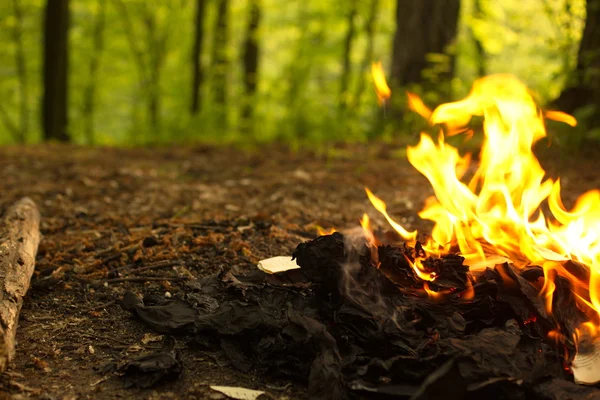 Destruktion af fortrolige dokumenter eller ej. - Stock-foto