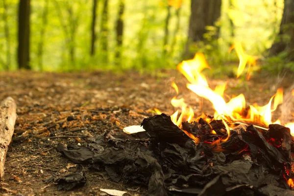 Destruktion af fortrolige dokumenter eller ej. - Stock-foto