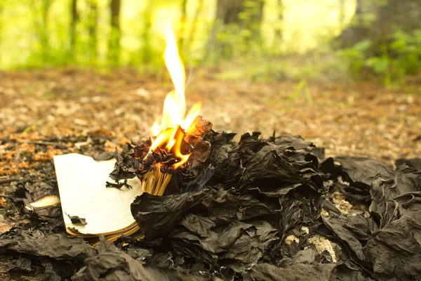 Destruction of confidential documents or not. — Stock Photo, Image