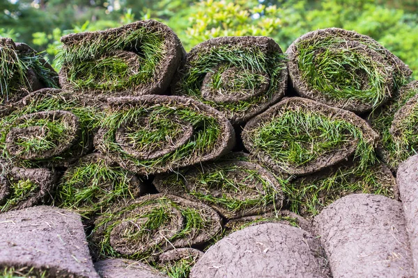 Darń trawy w rolkach do użycia dla ogrodnictwo i architektura krajobrazu. — Zdjęcie stockowe