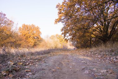 sabah frost ile güzel manzara