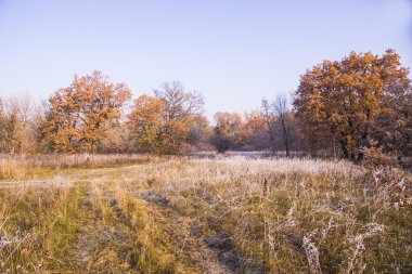 sabah frost ile güzel manzara