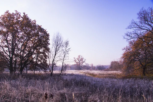 Bellissimo paesaggio con gelate mattutine — Foto Stock