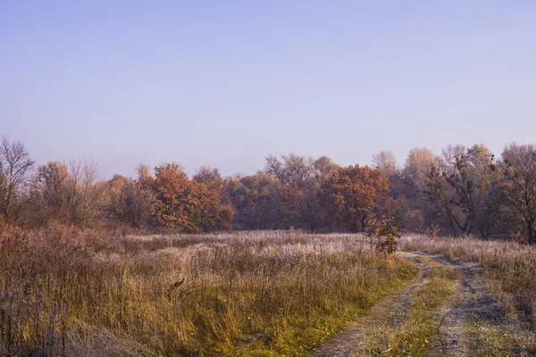 Piękny krajobraz z mróz rano — Zdjęcie stockowe