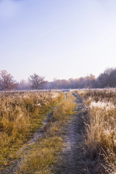 Alba autunnale colorata. Primo gelo a novembre — Foto Stock