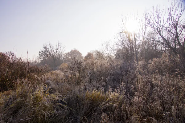 Alba autunnale colorata. Primo gelo a novembre — Foto Stock