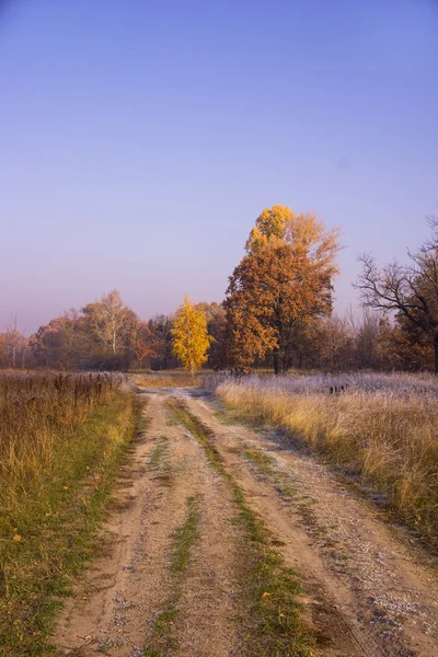 Colorido amanecer de otoño. Primera helada en noviembre — Foto de Stock