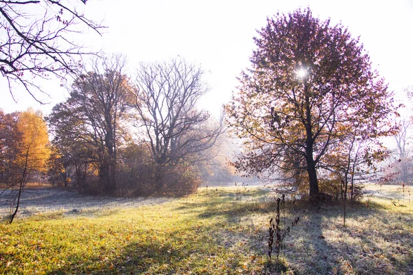 Färgglad höst sunrise. första frosten på november — Stockfoto