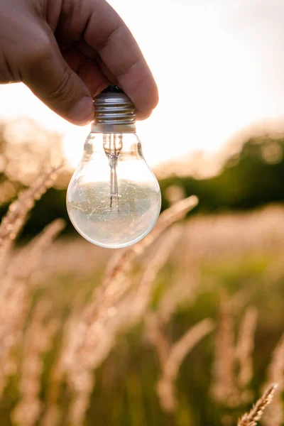 guy holds an electric light bulb in a field at sunset, Background Field grass.