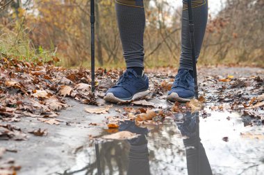 İskandinav yürüyüşü, sopalar, bacaklar. Sağlıklı yaşam tarzı kavramı, kardiyo eğitimi..