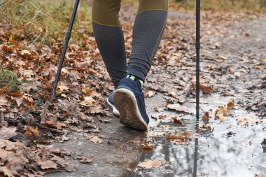 İskandinav yürüyüşü, sopalar, bacaklar. Sağlıklı yaşam tarzı kavramı, kardiyo eğitimi..