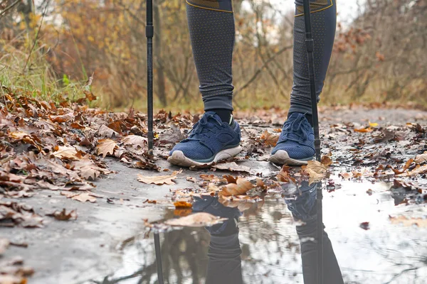 İskandinav yürüyüşü, sopalar, bacaklar. Sağlıklı yaşam tarzı kavramı, kardiyo eğitimi..