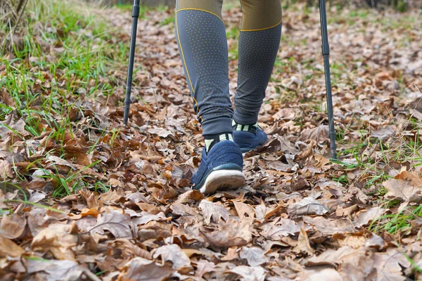 Nordic walking, sticks, legs close-up. The concept of a healthy lifestyle, cardio training.