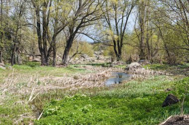 Nehir ve mavi gökyüzü ile yaz manzarası