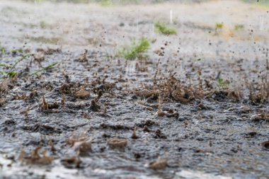 Şiddetli yağmur damlaları