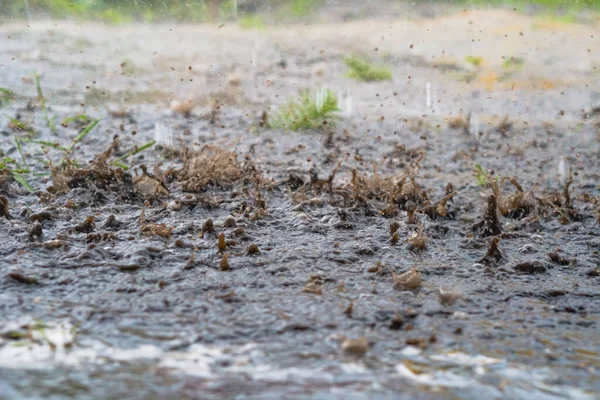 Капли Сильного Дождя Воду — стоковое фото