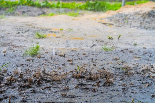 Краплі Сильного Дощу Воді — стокове фото