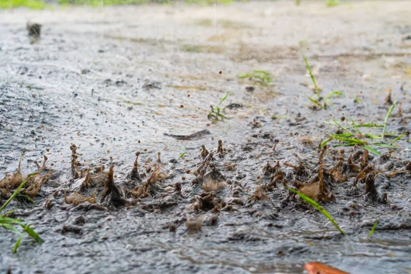 Drops of heavy rain on water