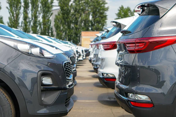 New Cars Stand Parking Lot Warehouse View Front Cars — Foto Stock