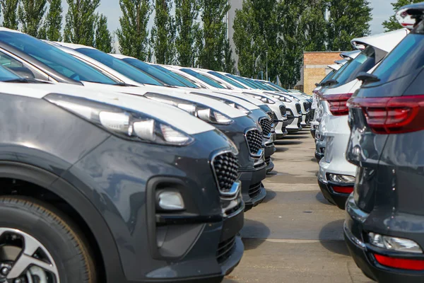 Nuevos Coches Pie Estacionamiento Del Almacén Vista Desde Parte Delantera —  Fotos de Stock