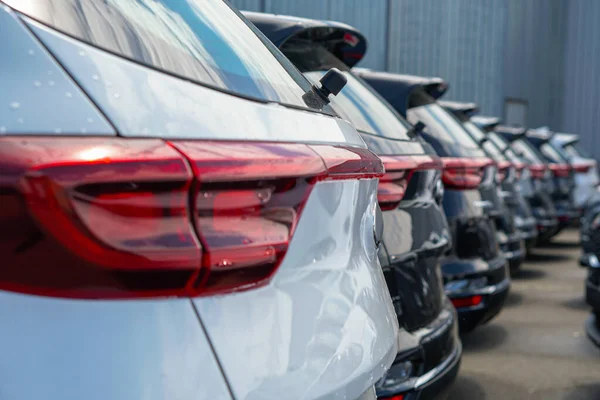 Nuevos Coches Pie Estacionamiento Del Almacén Vista Desde Parte Trasera —  Fotos de Stock