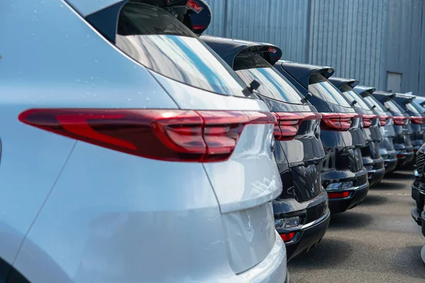 New Cars Stand Parking Lot Warehouse View Rear Cars — Fotografia de Stock