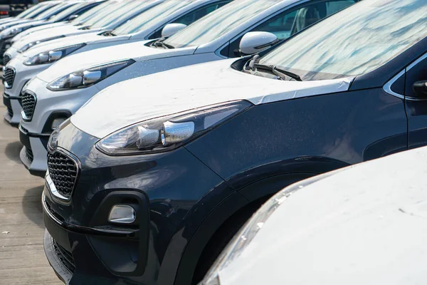 New Cars Stand Parking Lot Warehouse View Front Cars — Foto Stock