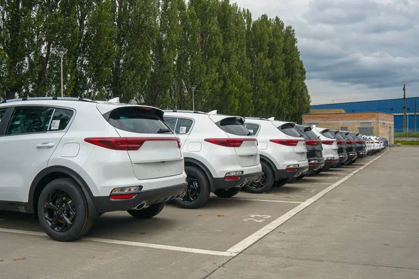 New Cars Stand Parking Lot Warehouse View Rear Cars — Stockfoto