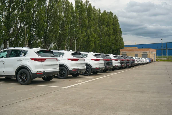 New Cars Stand Parking Lot Warehouse View Rear Cars — Φωτογραφία Αρχείου