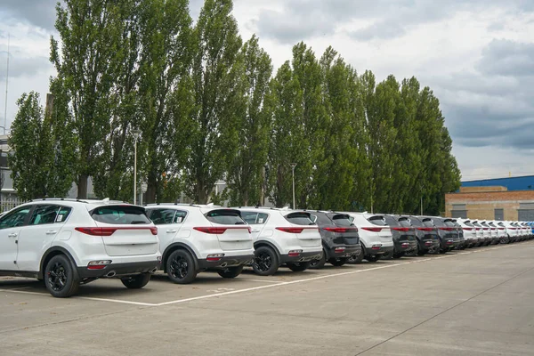 New Cars Stand Parking Lot Warehouse View Rear Cars — Fotografia de Stock