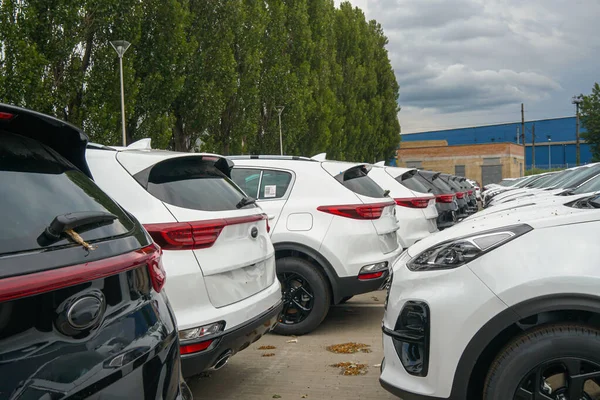 Nouvelles Voitures Tiennent Dans Parking Entrepôt Vue Avant Des Voitures — Photo
