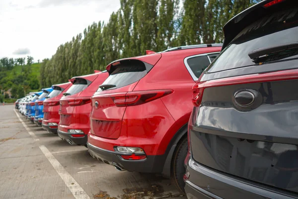 New Cars Stand Parking Lot Warehouse View Rear Cars — Fotografia de Stock