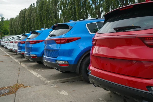 Nouvelles Voitures Tiennent Dans Parking Entrepôt Vue Arrière Des Voitures — Photo