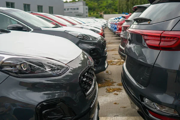 New Cars Stand Parking Lot Warehouse View Front Cars — Φωτογραφία Αρχείου