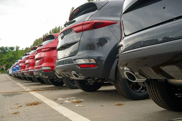 Nouvelles Voitures Tiennent Dans Parking Entrepôt Vue Arrière Des Voitures — Photo