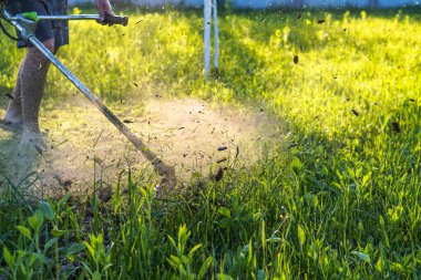 Bahçıvan otları biçer. Bitkilerin küçük parçaları farklı yönlere dağılır.
