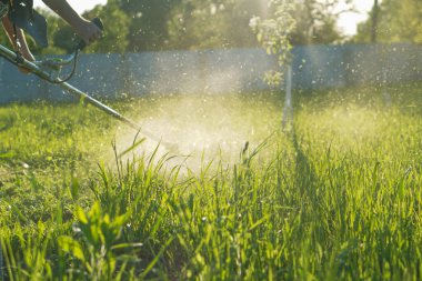 Bahçıvan otları biçer. Bitkilerin küçük parçaları farklı yönlere dağılır.