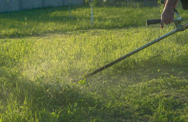Bahçıvan otları biçer. Bitkilerin küçük parçaları farklı yönlere dağılır.