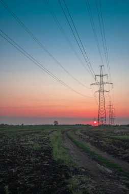 Elektrik direği, gün batımı gökyüzü, şafak vakti ağacın gölgesinde elektrik direği, günbatımında fotokopi uzayı ile elektrik iletim hattı.
