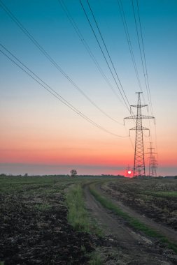 Elektrik direği, gün batımı gökyüzü, şafak vakti ağacın gölgesinde elektrik direği, günbatımında fotokopi uzayı ile elektrik iletim hattı.